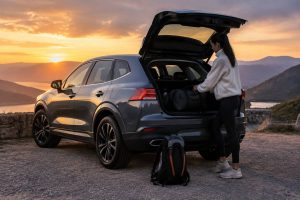 Peut-on acheter une voiture de société d'occasion ?